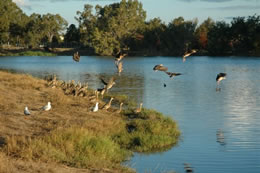 Mullers Lagoon